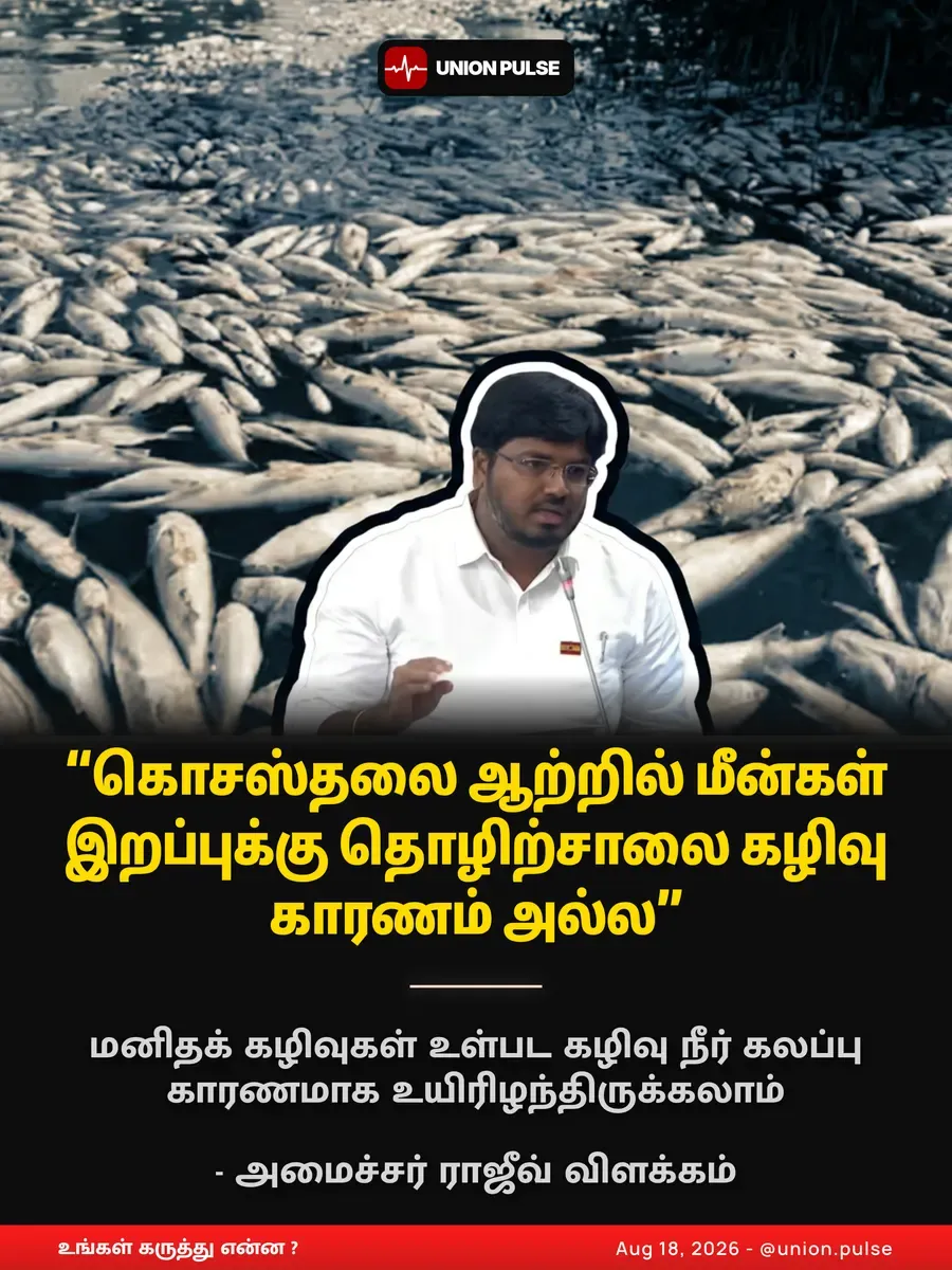 "கொசஸ்தலை ஆற்றில் மீன்கள் இறப்புக்கு தொழிற்சாலை கழிவு காரணம் அல்ல"